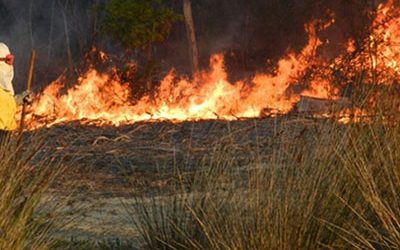 The Overberg’s busy fire season