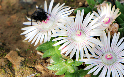 Conservation training in Bredasdorp