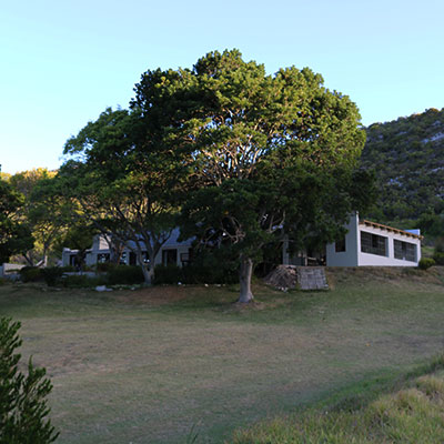 The launch of the Grootbos Environmental Centre